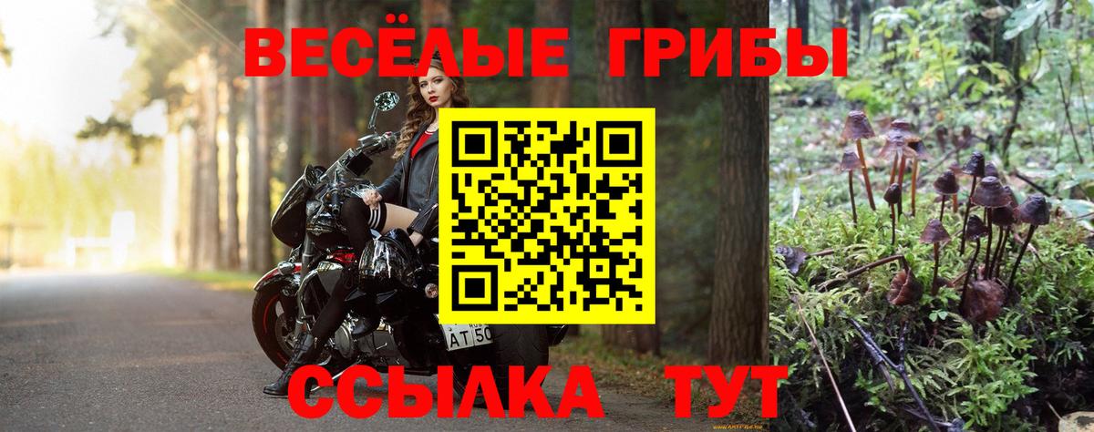 Зеленогорск  Галлюциногенные грибы прущие грибы  Вход с VPN  Псилоцибиновые грибы мухоморы 